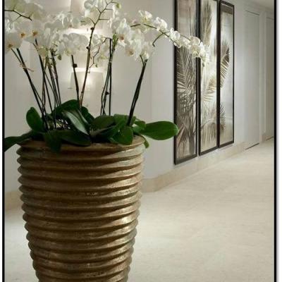 Ambients Decor 07